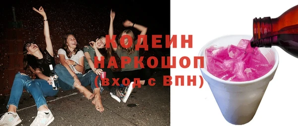 apvp Каменка