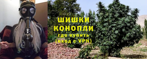 apvp Каменка