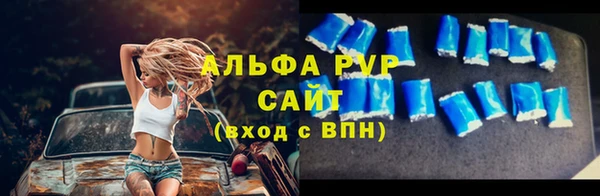 apvp Каменка