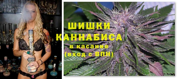 твердый Каменногорск