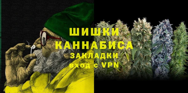 apvp Каменка