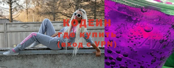 apvp Каменка