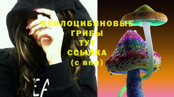 мет Каменск-Шахтинский