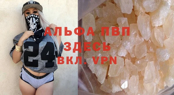 apvp Каменка