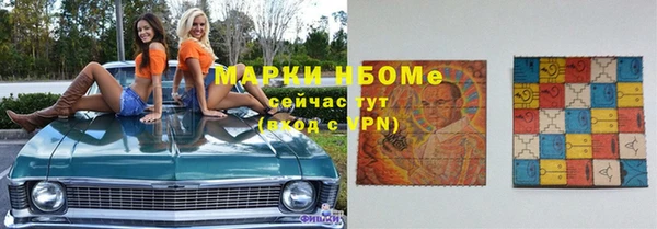 apvp Каменка