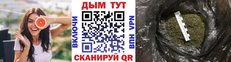 Купить закладки  Приморск  Марихуана план 